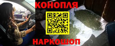 прущие грибы Жуковский