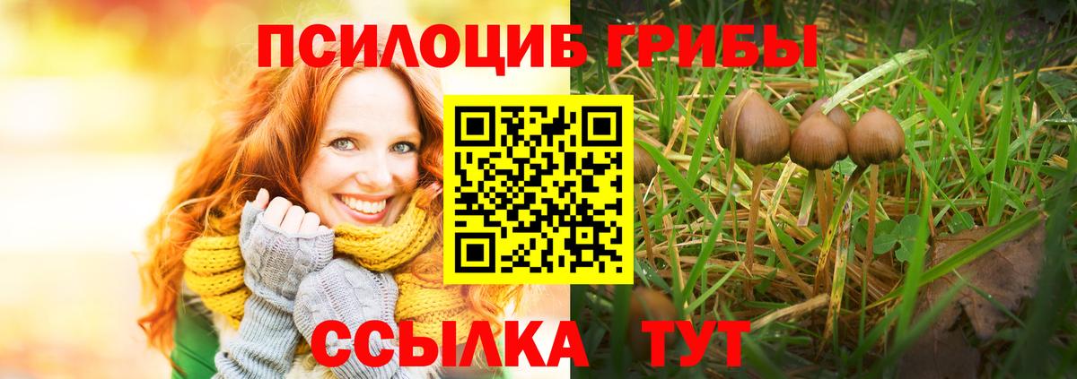 Галлюциногенные грибы прущие грибы  Вход с VPN  Лесной 