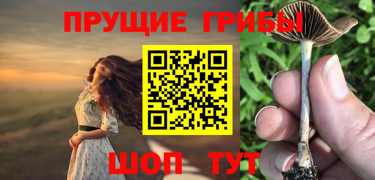 Галлюциногенные грибы мухоморы Лесной